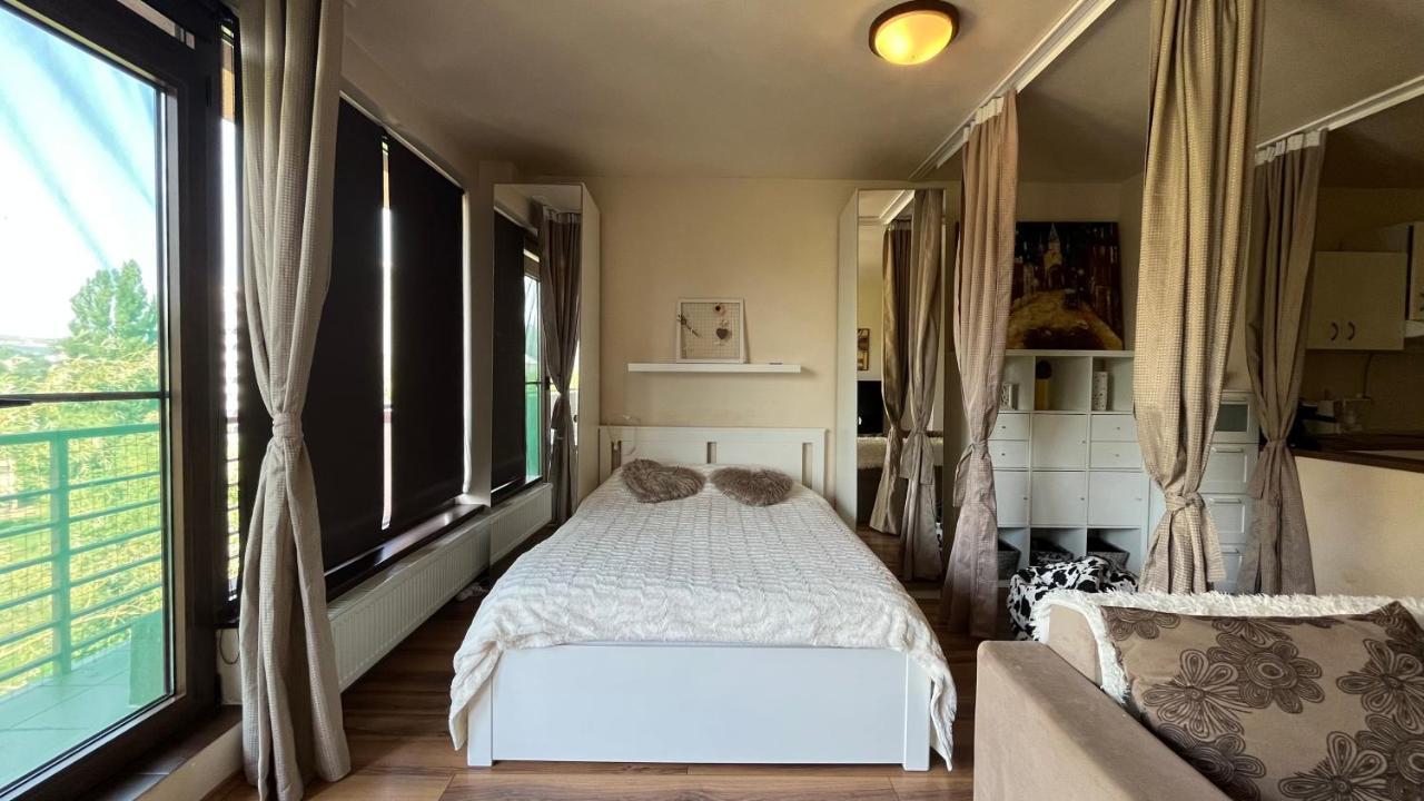 Plopilor Sdtudio Apartment คลูจ-นาโปกา ภายนอก รูปภาพ