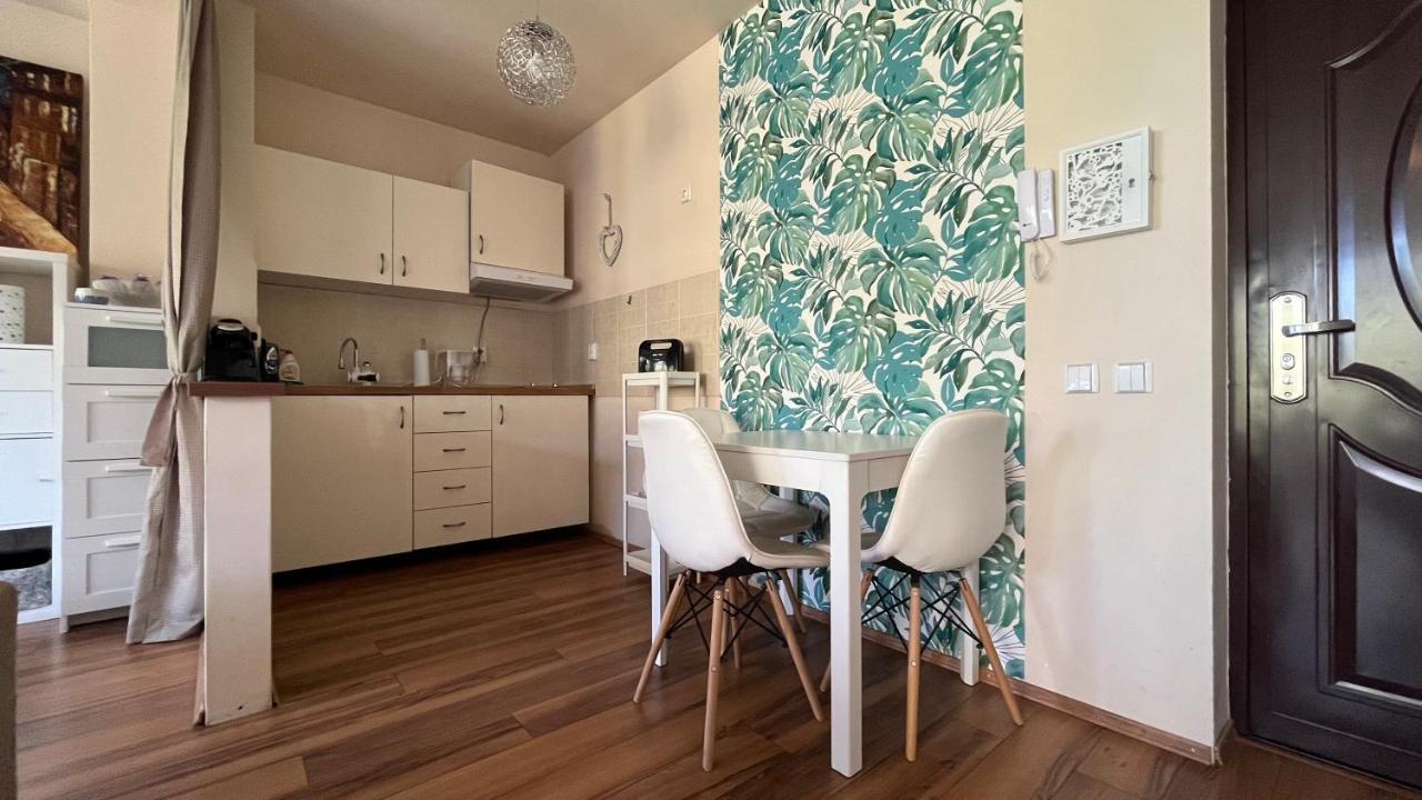Plopilor Sdtudio Apartment คลูจ-นาโปกา ภายนอก รูปภาพ